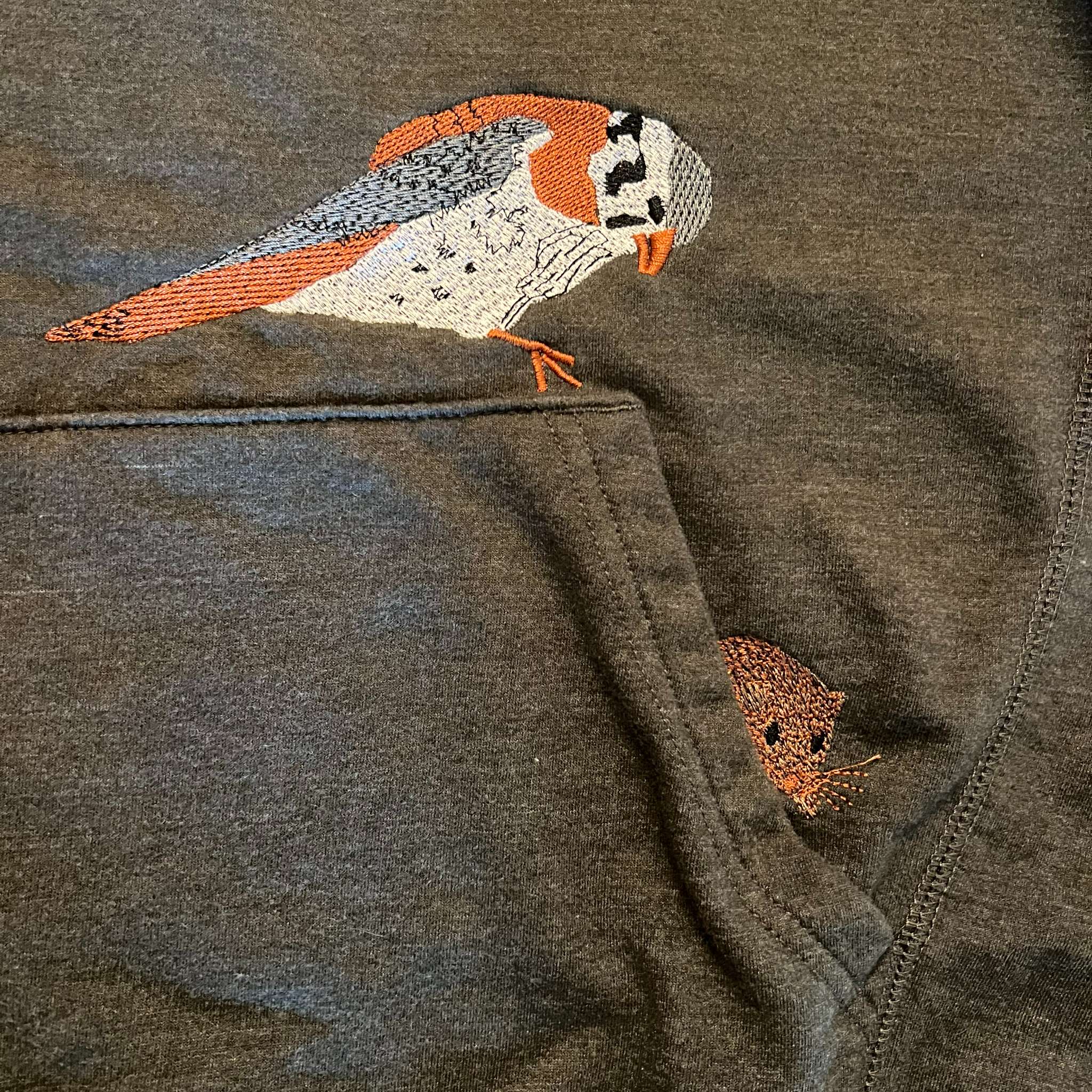 American Kestrel and Hiding Mouse